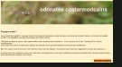 Homepage