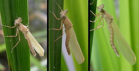 Troisième quart d'heure
