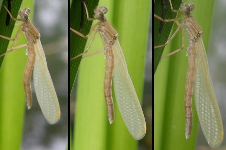 Dernier quart d'heure