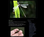 Homepage