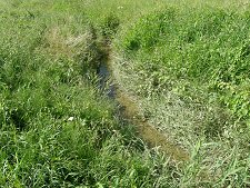 Ruisseau de Fèves à Maizières-les-Metz