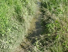 Ruisseau de Fèves à Maizières-les-Metz