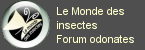insecte.org, Forum odonates